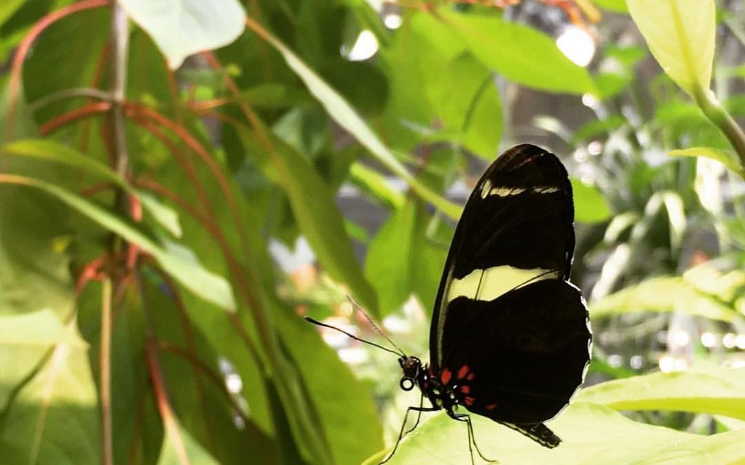 How I Found Myself Again After Narcissistic Abuse